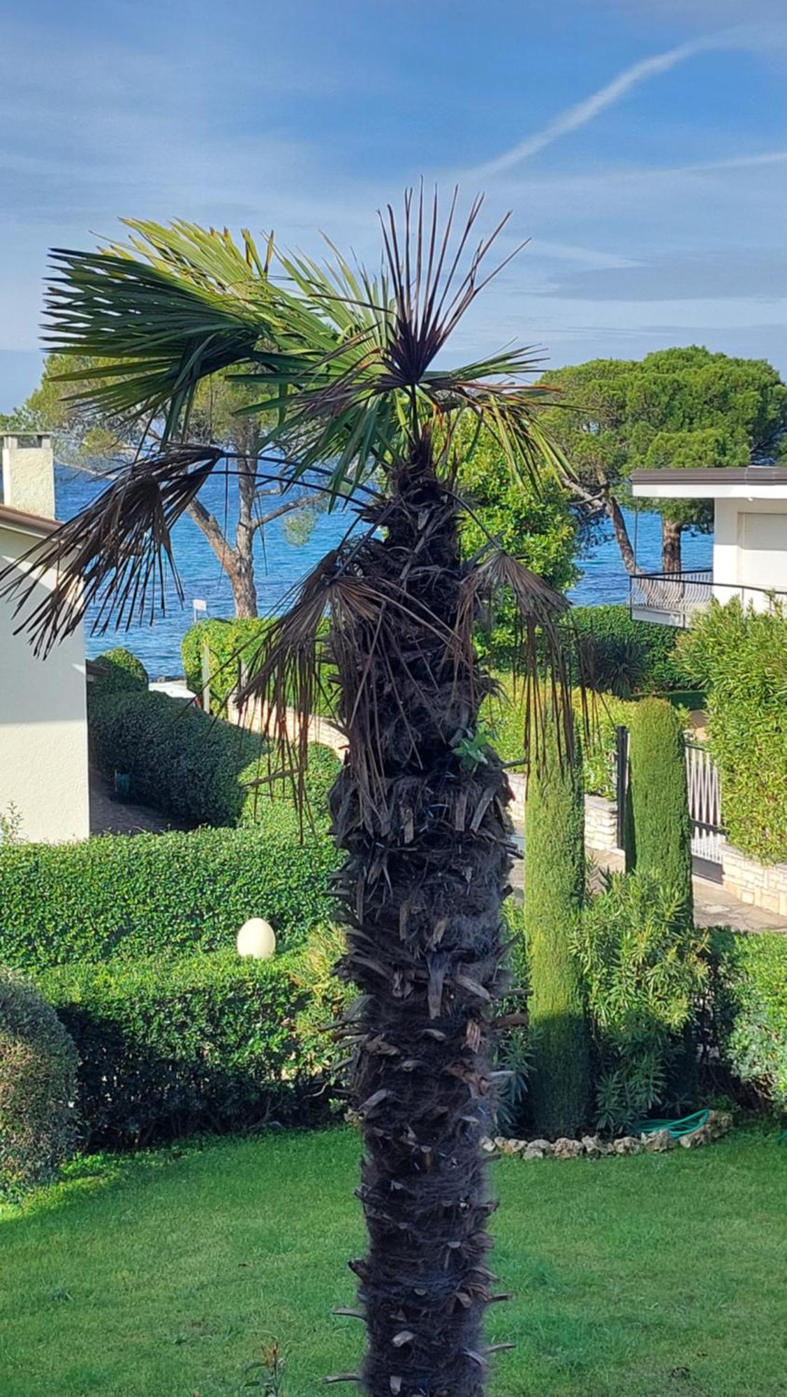 Betulla Lake View Apartment Lazise Exterior photo
